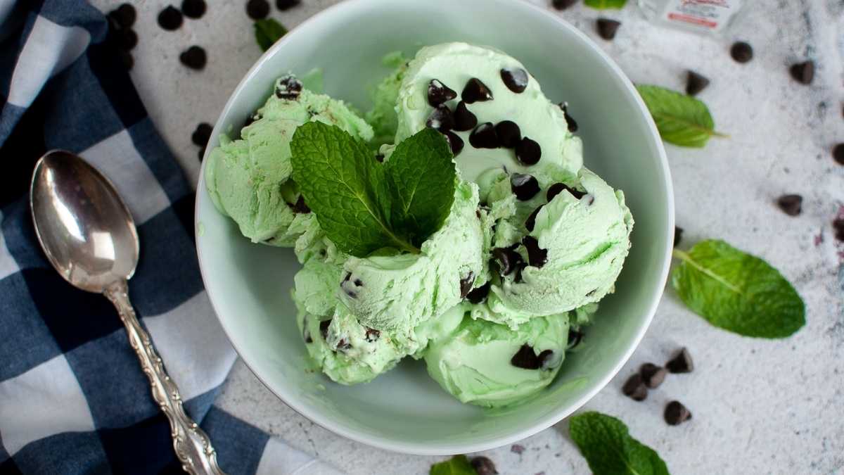 Best Mint Chocolate Chip Ice Cream Recipe 