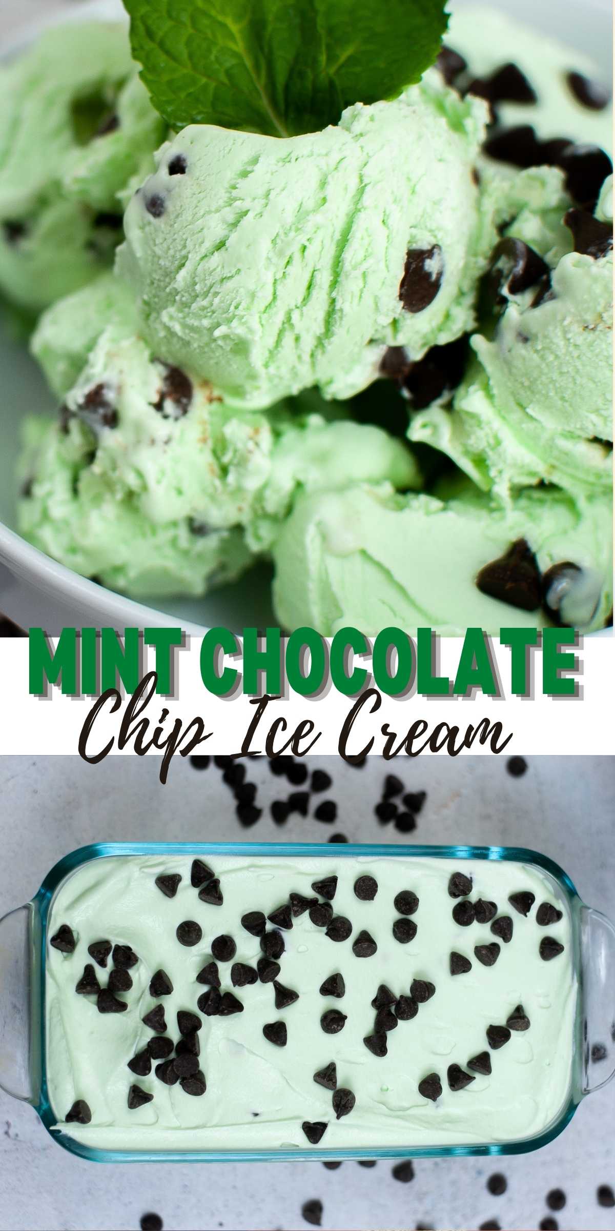 Best Mint Chocolate Chip Ice Cream Recipe 