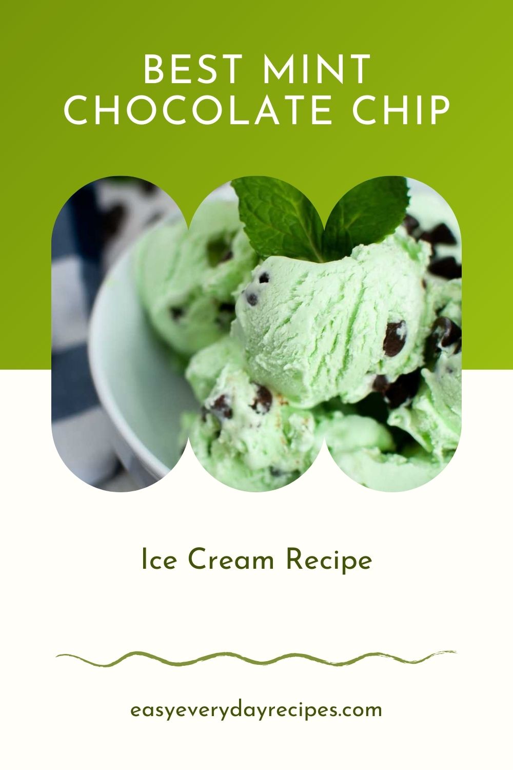 Best Mint Chocolate Chip Ice Cream Recipe 15 Best Mint Chocolate Chip Ice Cream Recipe pin 1
