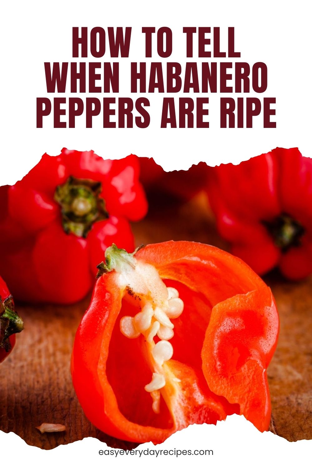 How to Tell When Habanero Peppers Are Ripe 14 How to Tell When Habanero Peppers Are Ripe pin 1