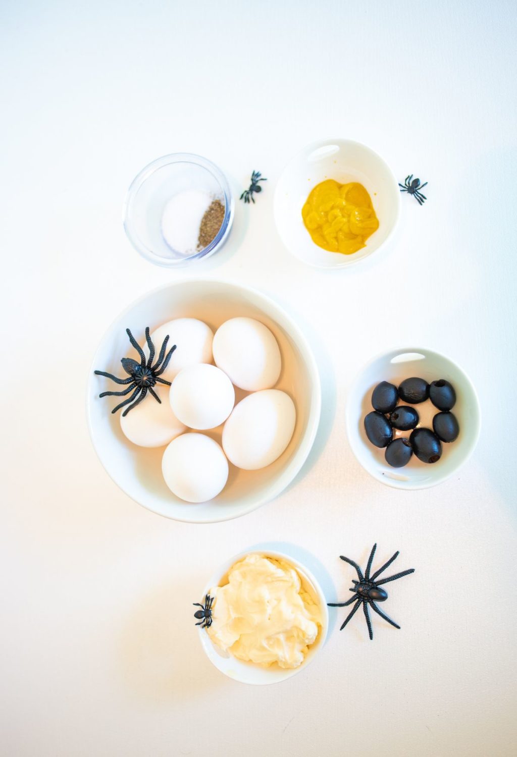 Eggs, spiders, and other ingredients are laid out on a table.