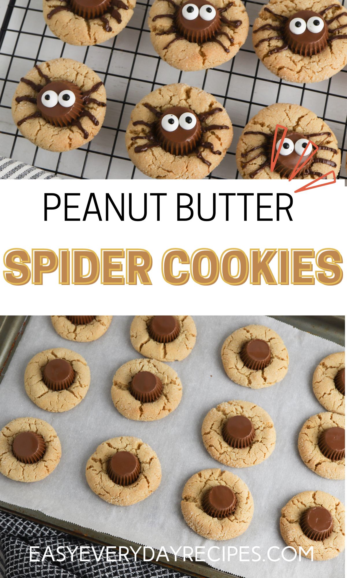 Peanut butter spider cookies.