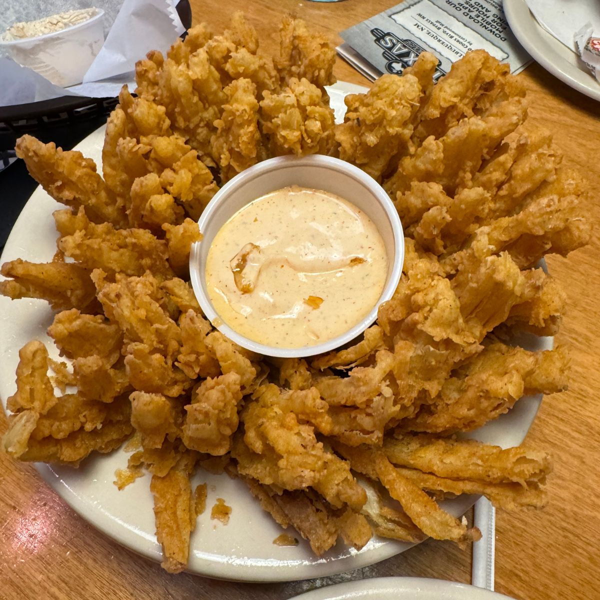 Fried onion with dipping sauce on a plate.