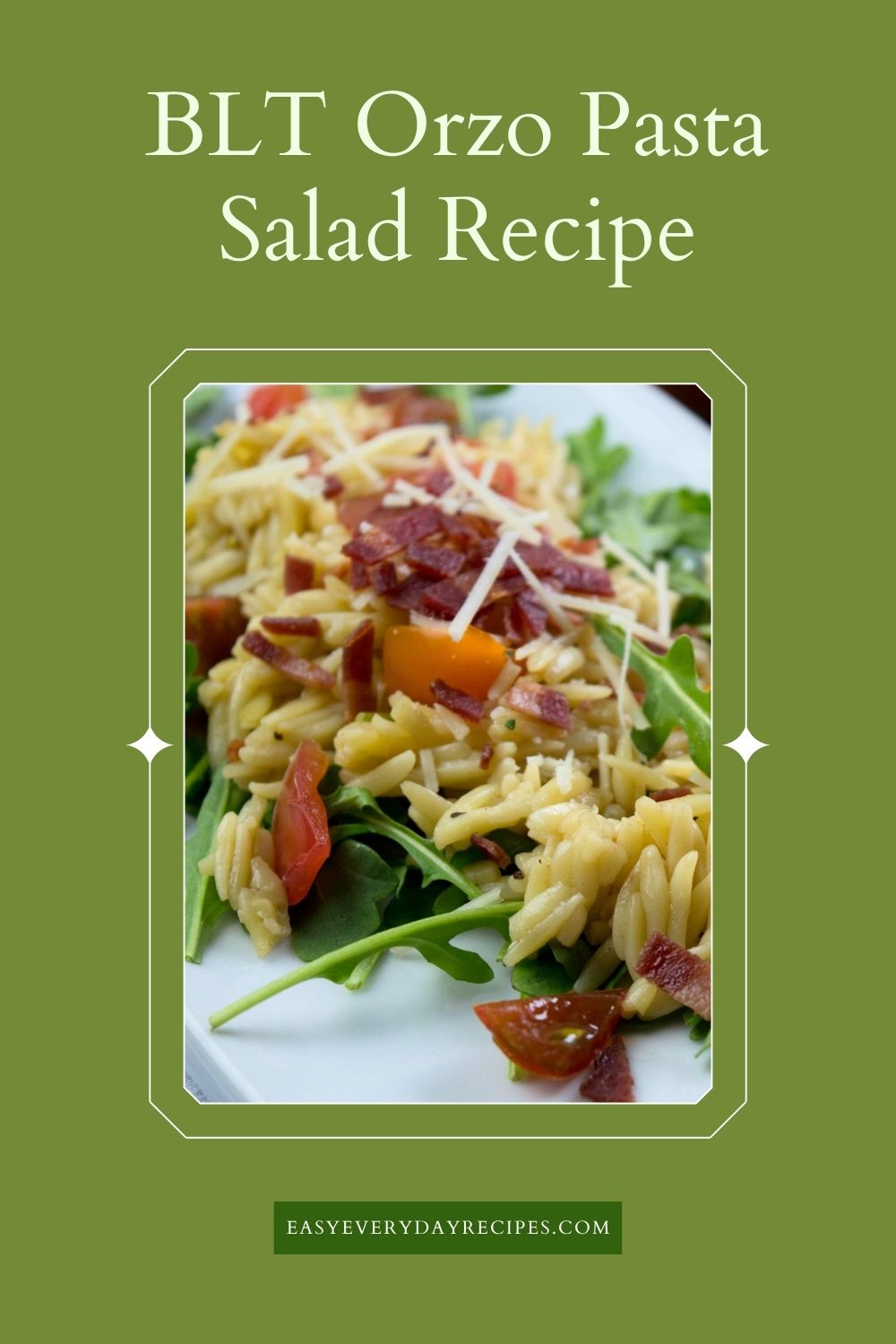 BLT Orzo Salad 10 BLT Orzo Pasta Salad Recipe pin