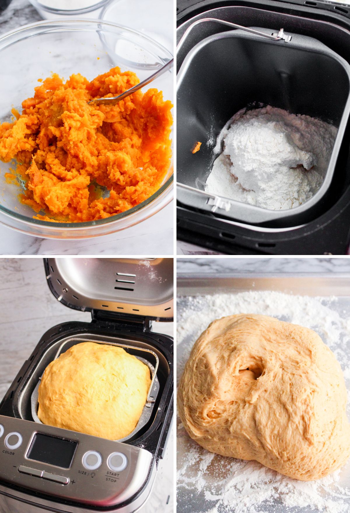 Sweet Potato Rolls | Easy Everyday Recipes
