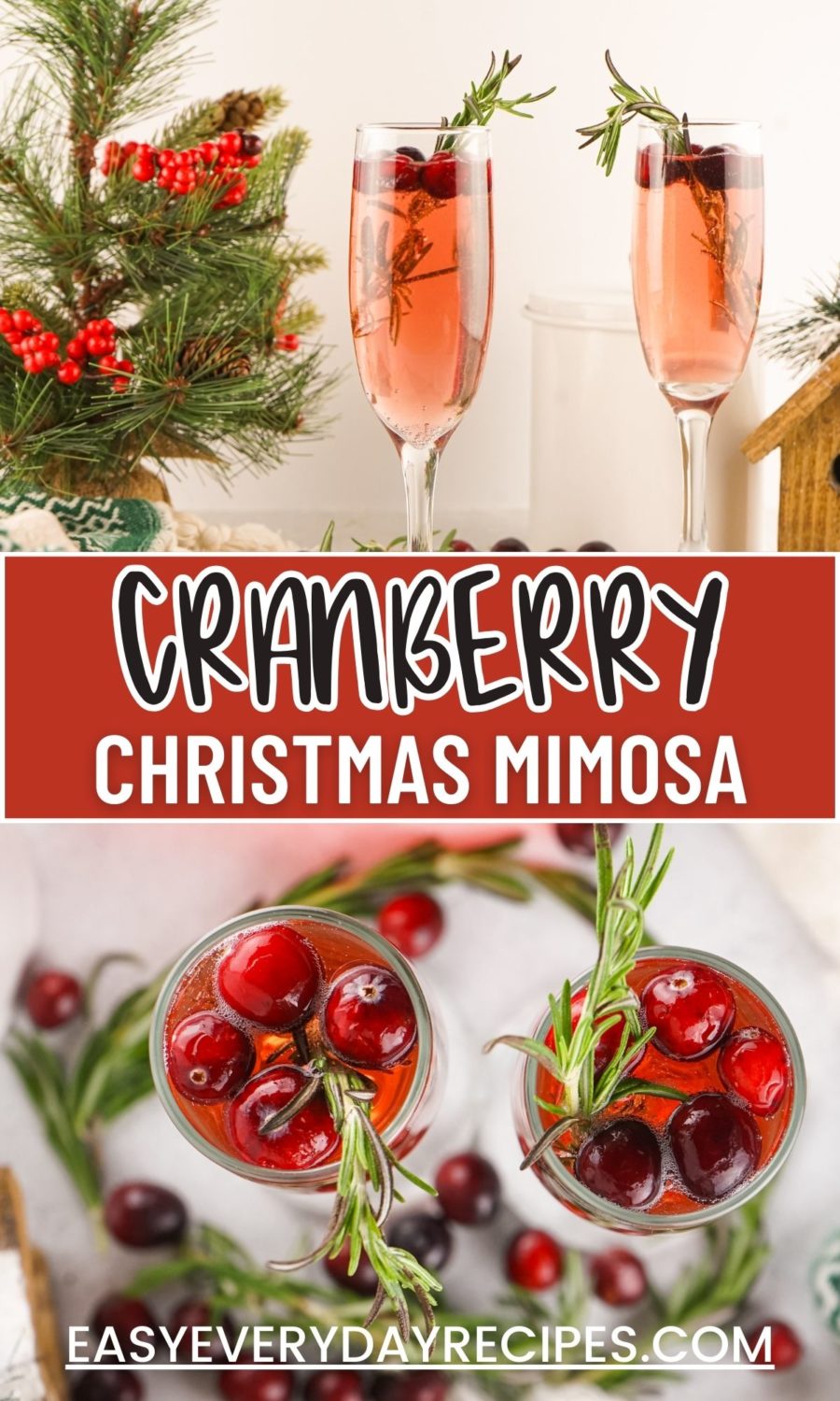 Cranberry christmas mimosa.