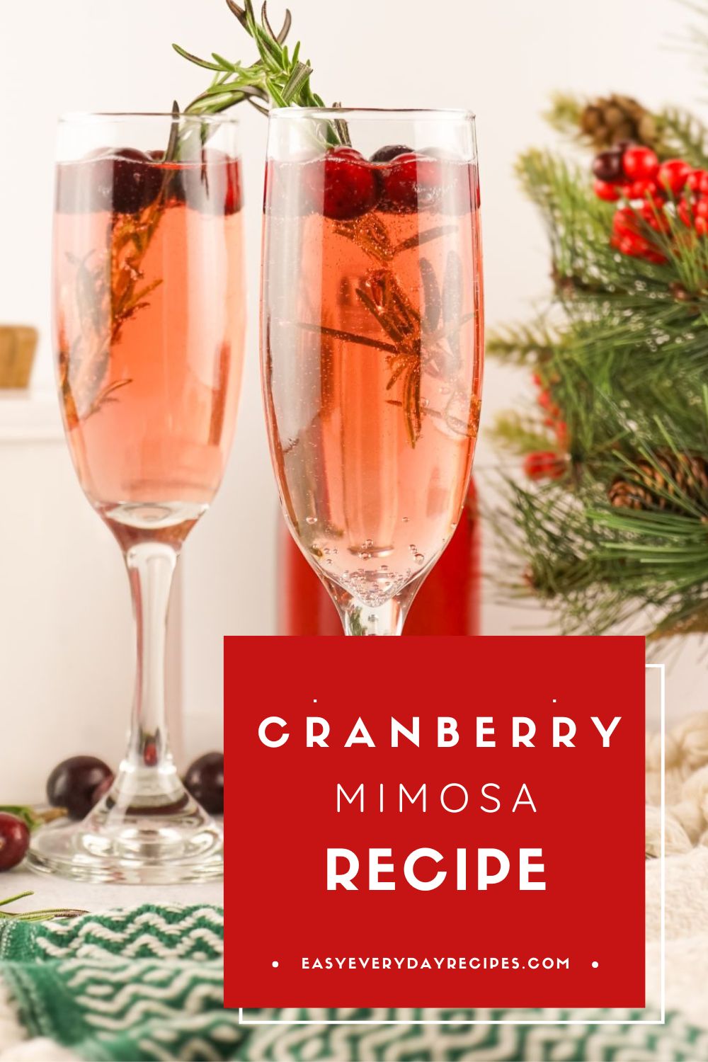 Cranberry Mimosa Recipe 10 Cranberry Mimosa Recipe pin