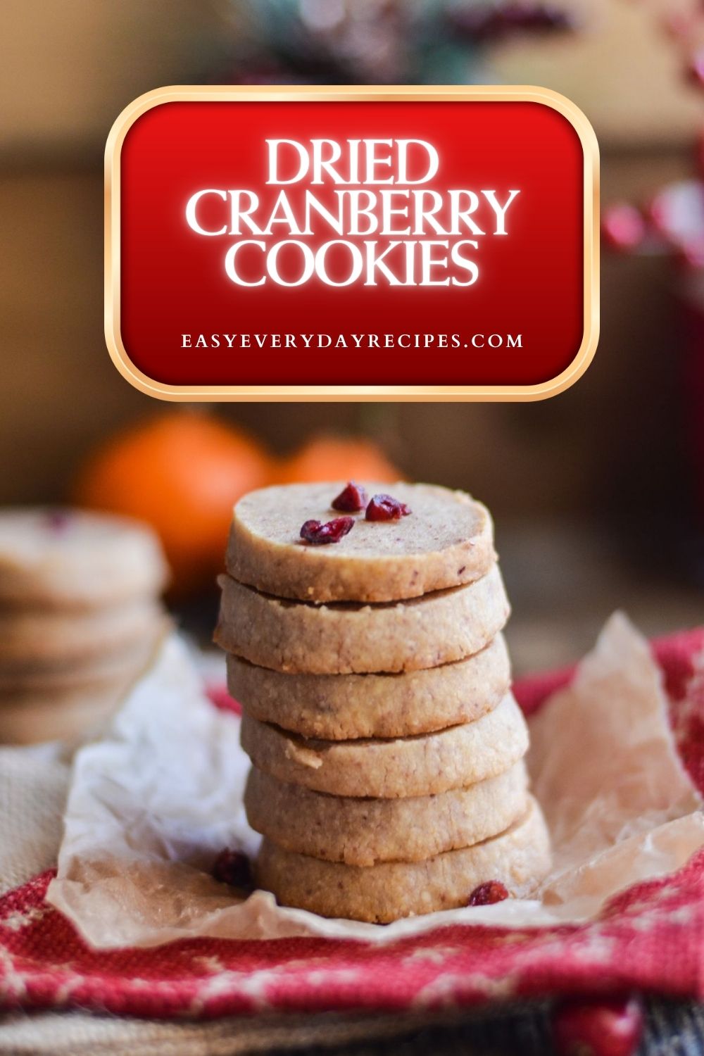 Dried Cranberry Cookies 10 Dried Cranberry Cookies pin