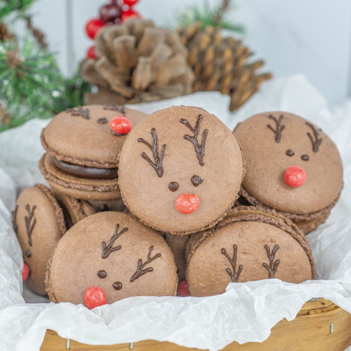 Chocolate reindeer macarons in a basket with pine cones.