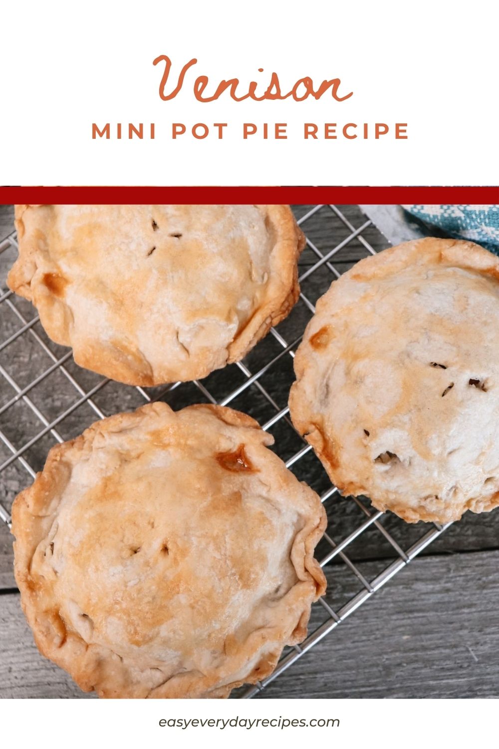 Venison Pot Pie Recipe 19 Venison Mini Pot Pie Recipe pin