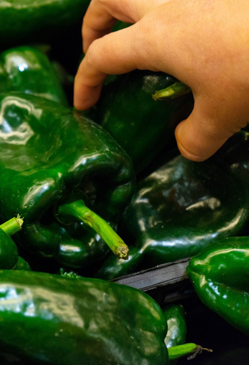 A person's hand picking up freeze poblano peppers.