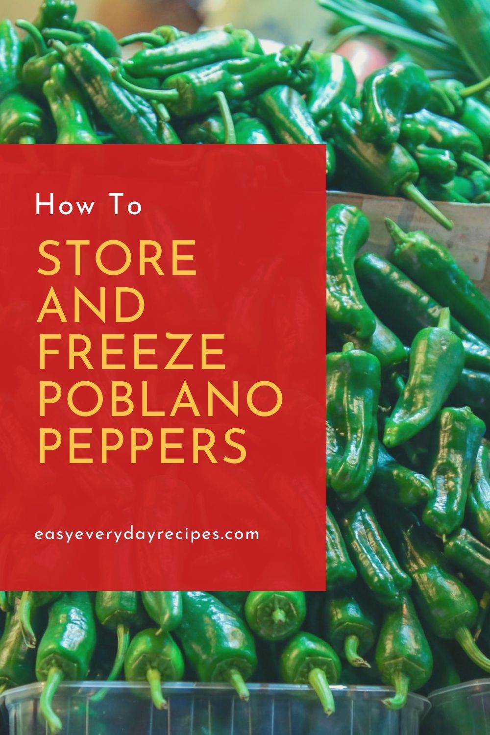 How To Store and Freeze Poblano Peppers 9 How To Store and Freeze Poblano Peppers pin 1