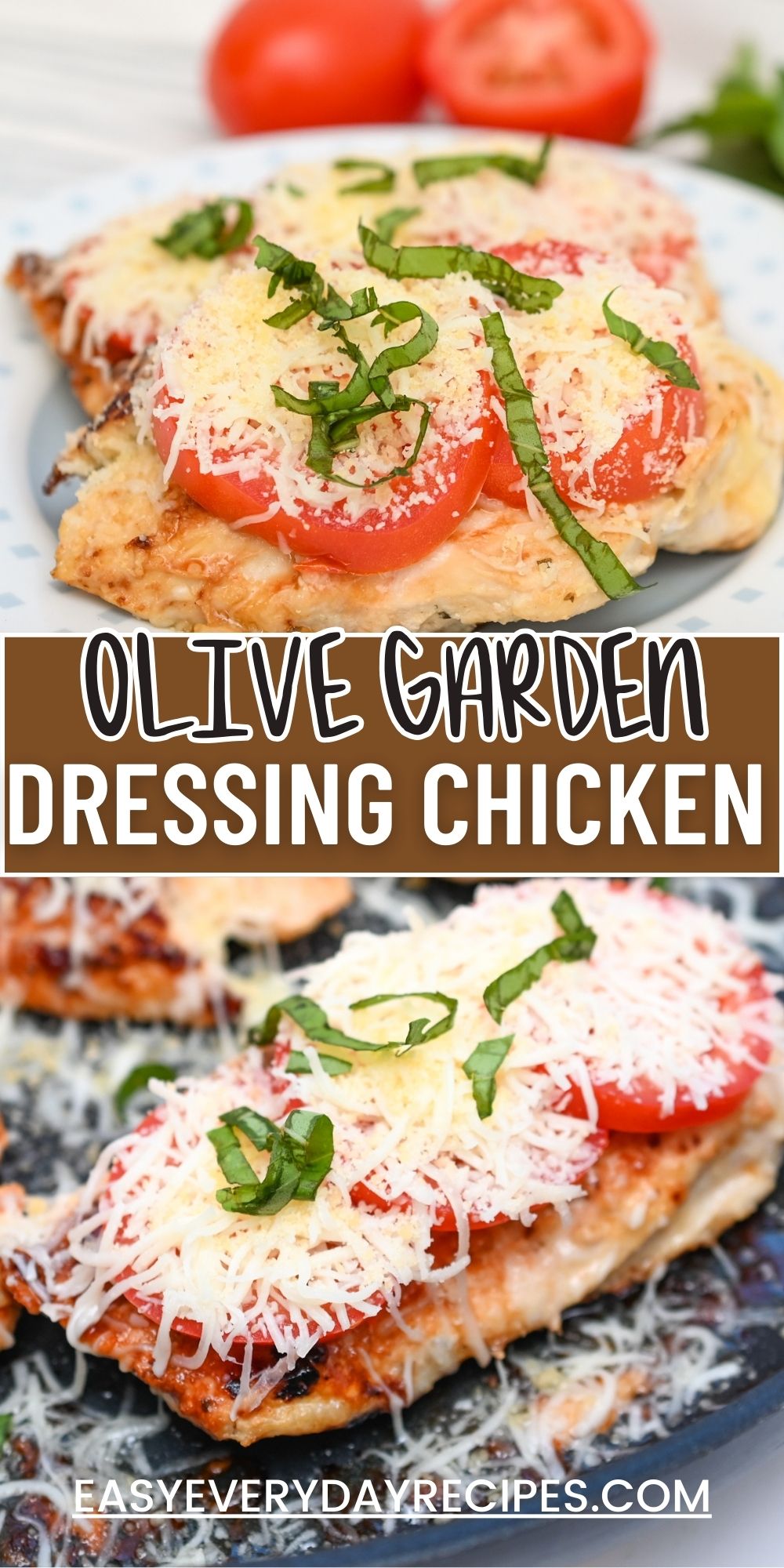 Olive garden dressing chicken on a plate.