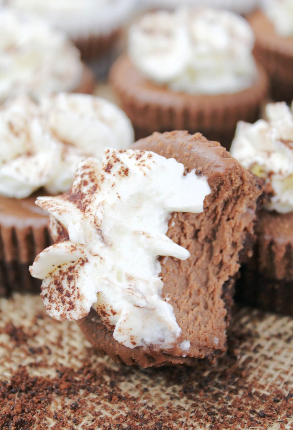A group of chocolate cupcakes with kahlua-infused whipped cream on top.