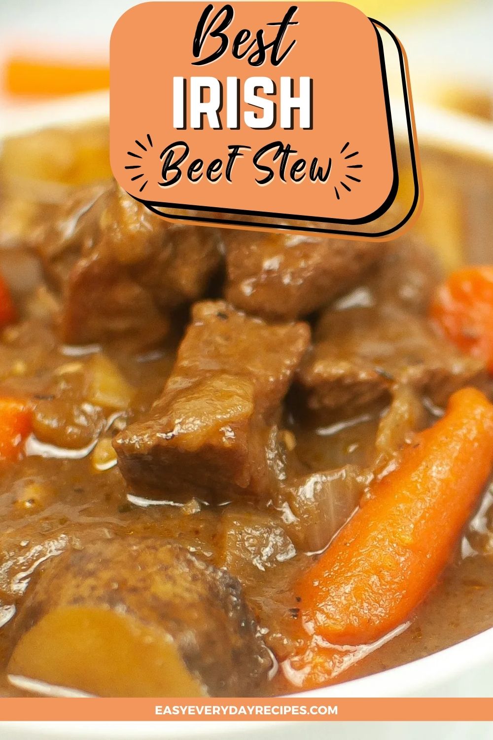 Best Irish Beef Stew Recipe 14 Best Irish Beef Stew Recipe pin 1
