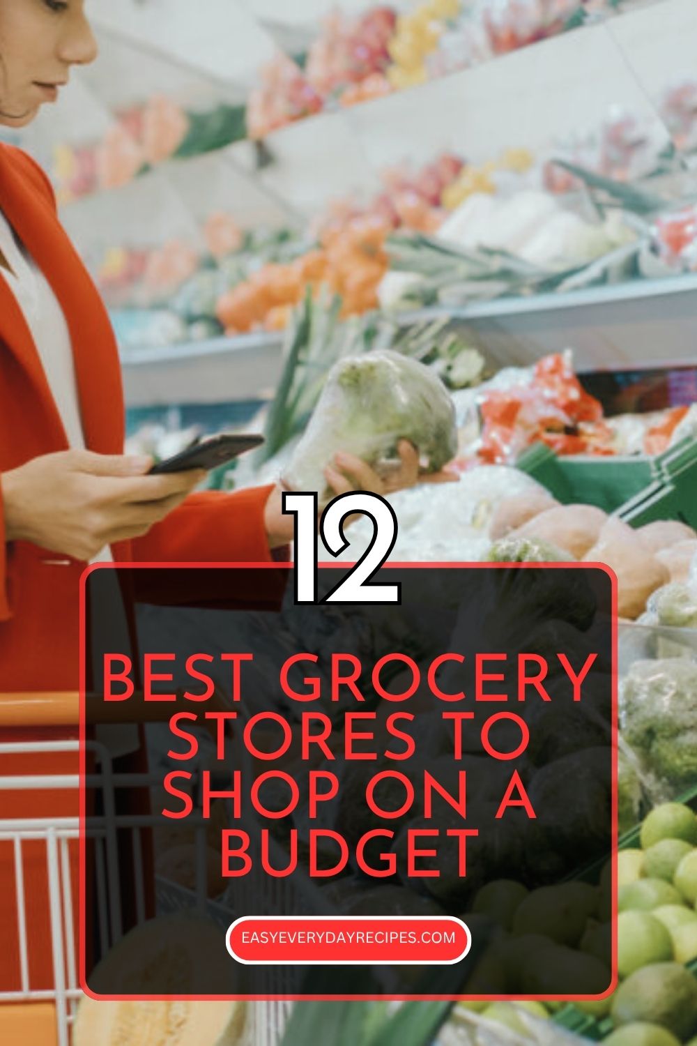 12 Best Grocery Stores to Shop on a Budget 17 12 Best Grocery Stores to Shop on a Budget pin