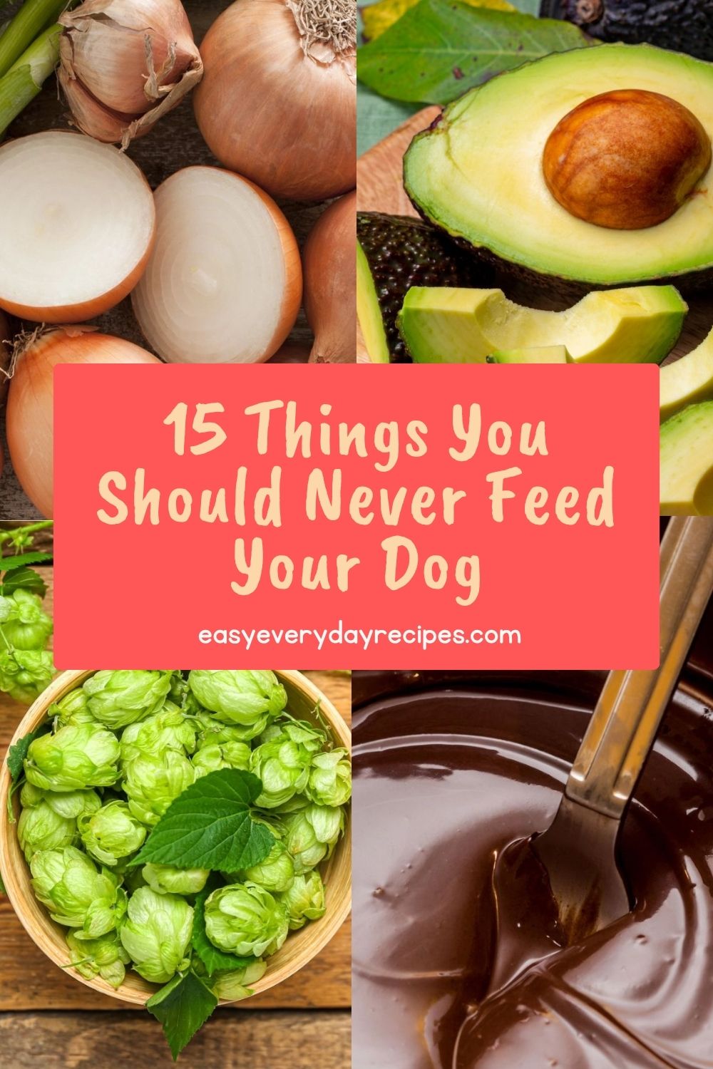 15 Things You Should Never Feed Your Dog 20 15 Things You Should Never Feed Your Dog pin 1