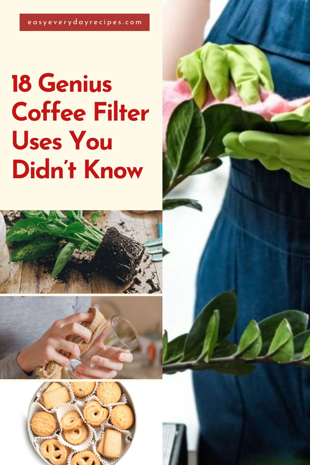 18 Unique Ways to Put Coffee Filters to Good Use 23 18 Genius Coffee Filter Uses You Didnt Know pin