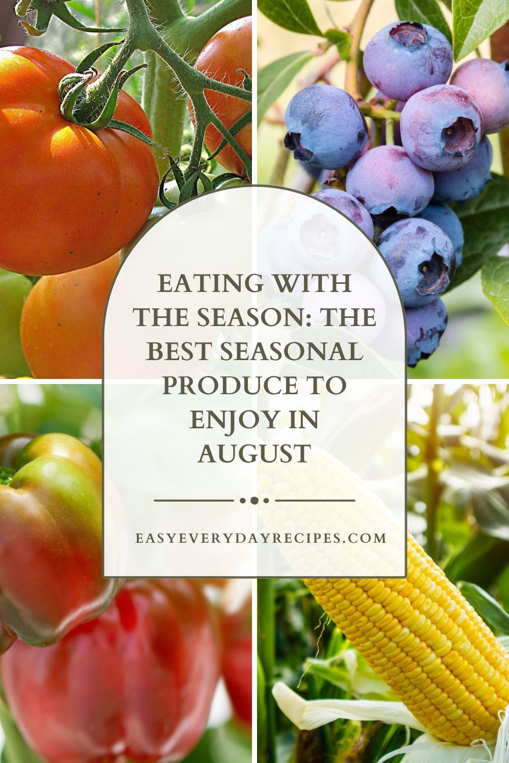 Eating with the Season The Best Seasonal Produce to Enjoy in August pin