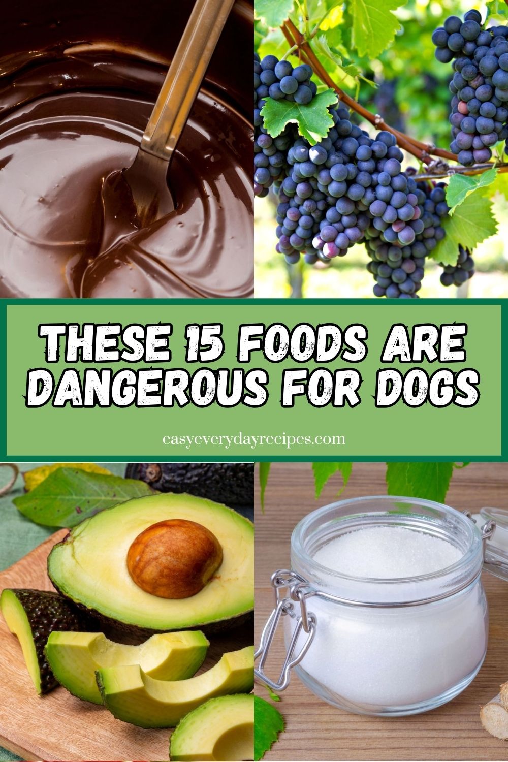 15 Things You Should Never Feed Your Dog 19 These 15 Foods Are Dangerous for Dogs pin