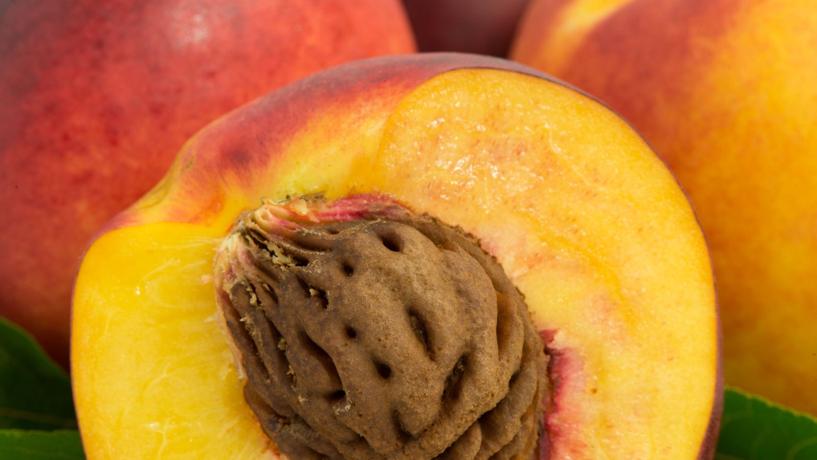 12 Foods You Should Never Put Down the Garbage Disposal 6 peach fruit pit