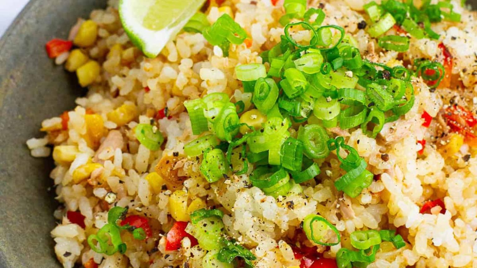 19 Easy Tuna Recipes To Make With A Can Of Tuna Easy Everyday Recipes