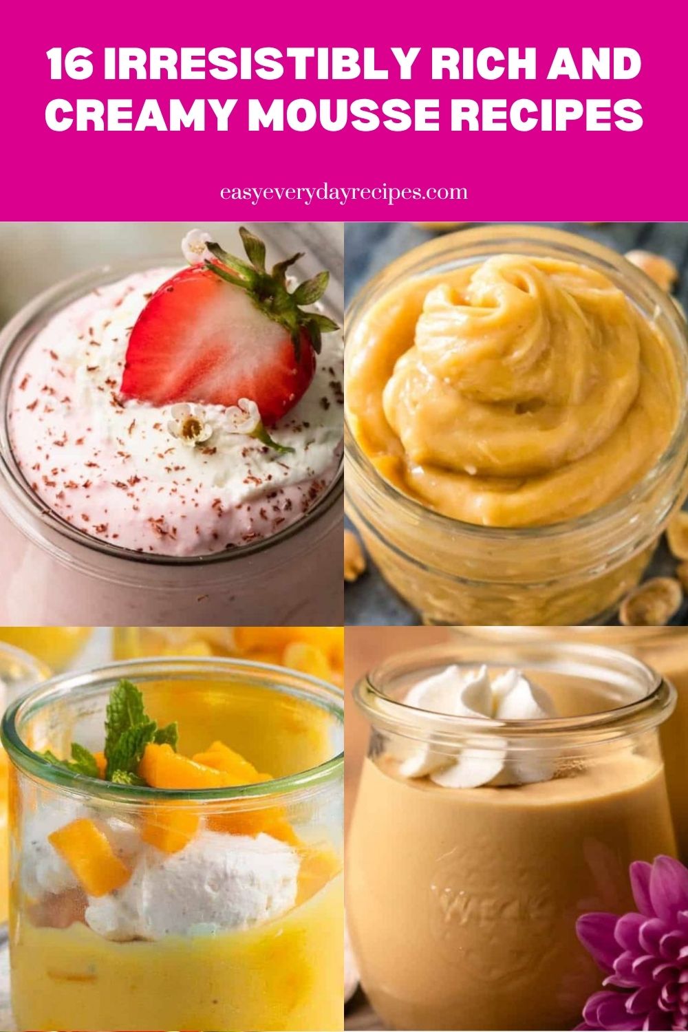 16 Irresistibly Rich and Creamy Mousse Recipes 22 16 Irresistibly Rich and Creamy Mousse Recipes pin 2