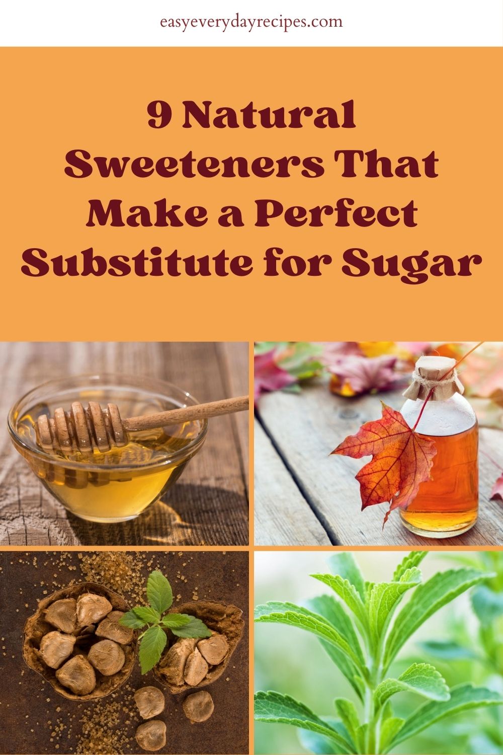 9 Natural Sweeteners That Make a Perfect Substitute for Sugar 13 9 Natural Sweeteners That Make a Perfect Substitute for Sugar pin 1