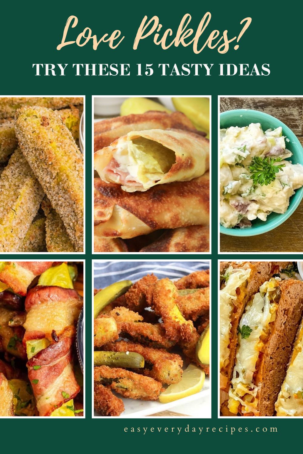 15 Tasty Ways to Enjoy Pickles in Every Bite 5 Love Pickles Try These 15 Tasty Ideas pin