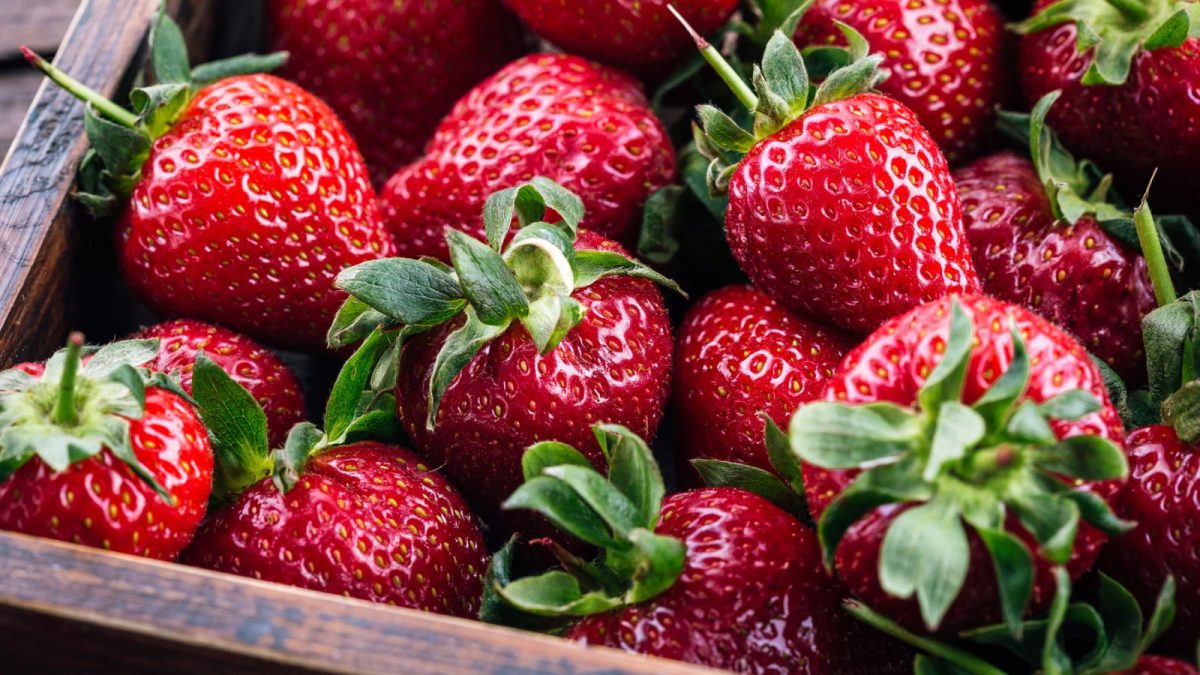 strawberries strawberry