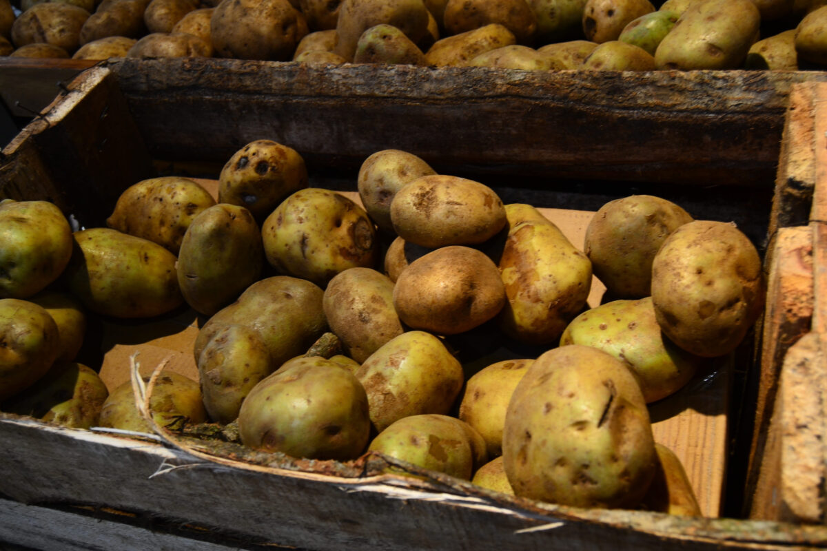 22 Deadly Foods You Never Knew Could Kill You 2 potatoes on the market
