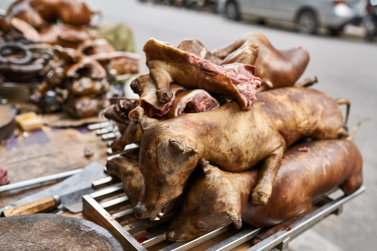 13 Meats Once Popular in the U.S., But Now Banned or Illegal 2 Local vietnamese weird food from dogs bodies