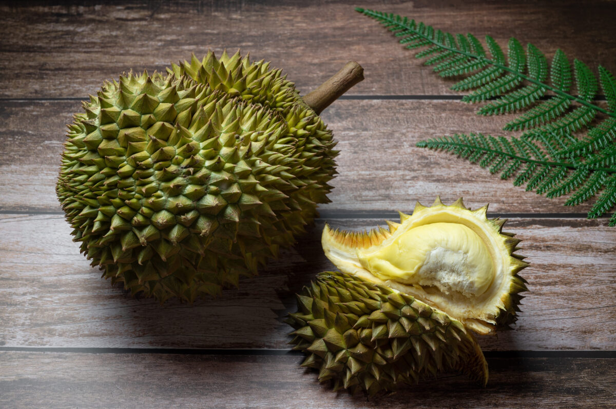 10 Stinky Foods That Are Surprisingly Delicious 1 Durian on sack and Delicious fresh Ripe durian tropical fruit on the wooden background, king of fruits in Thailand