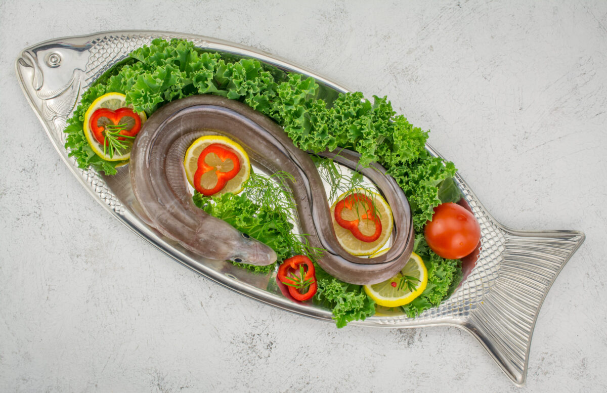 The Weirdest British Foods, An Exploration of Unique and Unusual Delights 2 congor,sea eel unprepared with lemon pepper parsley on black board