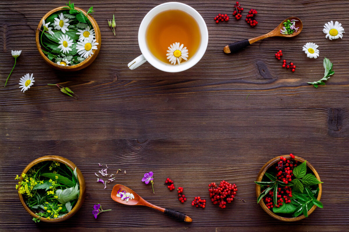 The Worst Coffee Shop Mistakes You're Probably Making 4 Cup of herbal tea with wild herbs and wild flowers