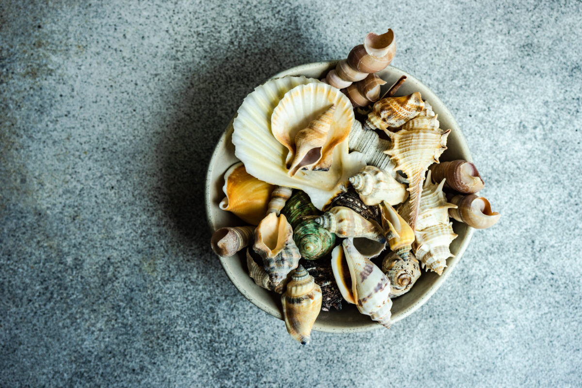 The 8 Most Common Foods That Could Be Triggering Your Allergies 4 Summer background concept with ceramic bowl full of sea shells