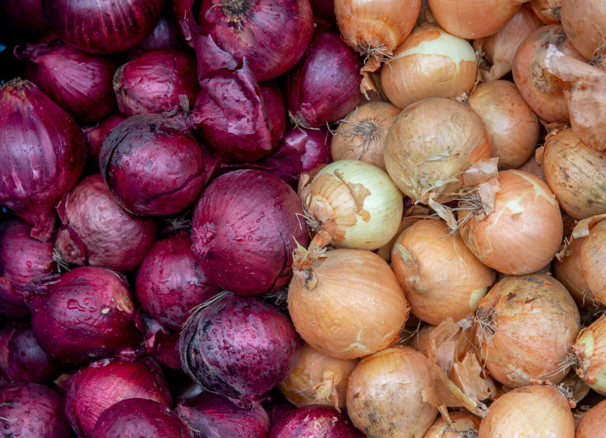 The 10 Foods You Should Never Buy Organic 2 Organic red and brown onions closeup, natural background