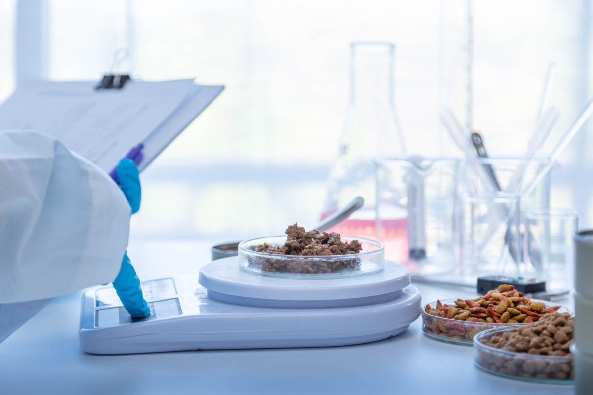 Cooking Rules Meant to Be Broken and A Guide to Daring Culinary Freedom 2 Quality control personnel are inspecting the quality of wet pet food. Tuna cat food in can. Wet and Dry pet food quality.