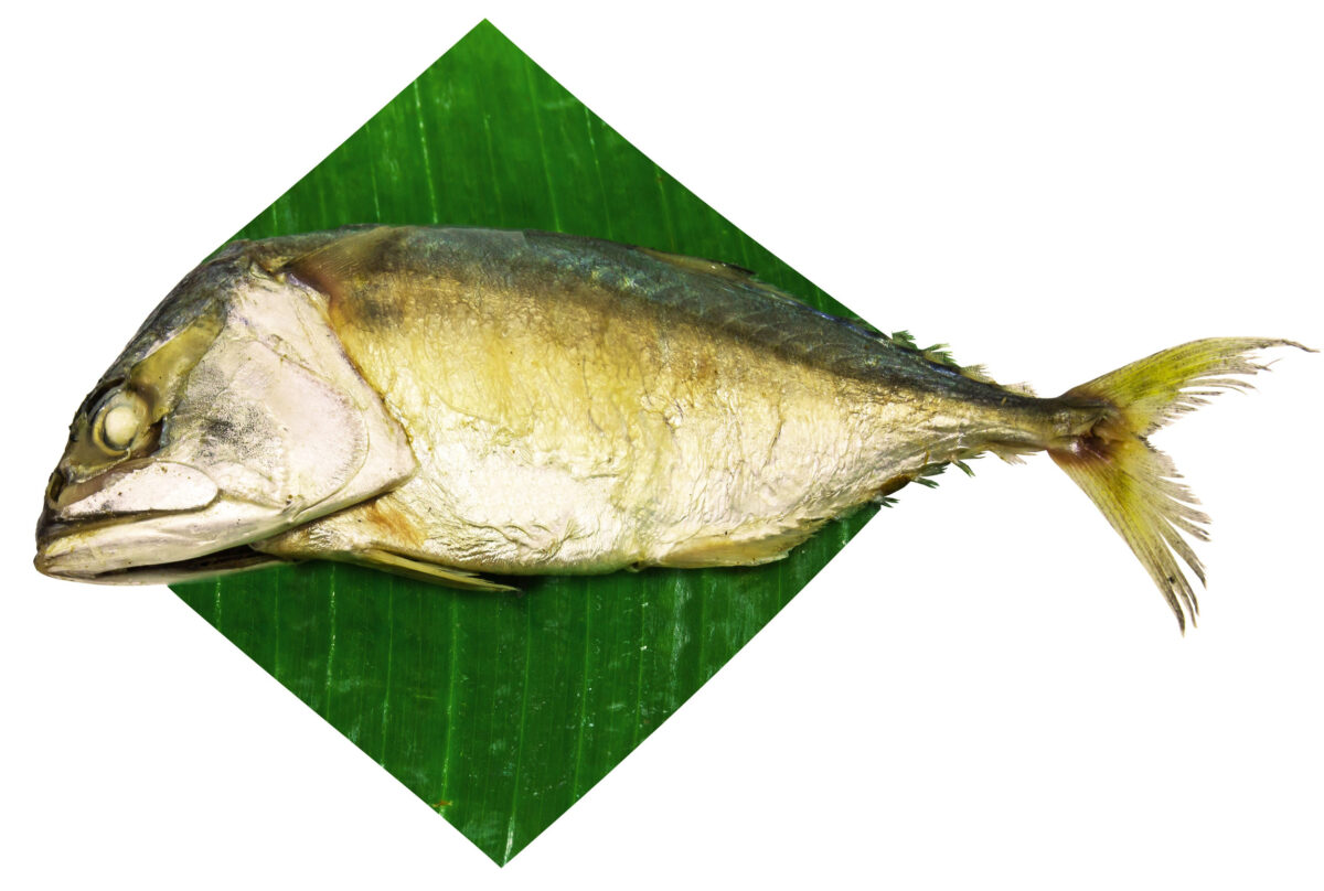 10 Underrated Fish You Should Try Before Buying Another Salmon Fillet 4 Mackerels with green banana leaf