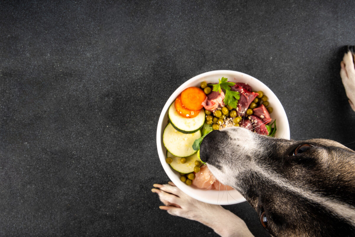 8 Dog Diets Your Vet Wishes You Would Ignore 1 BARF (Biologically Appropriate Raw Food) food concept, Healthy bowl for domestic pets background with dog paws in pic. Portion of raw meat, chicken, fish, vegetables, oats