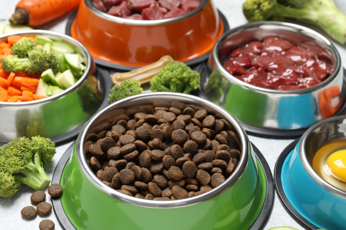8 Dog Diets Your Vet Wishes You Would Ignore 3 Dry pet food and natural products on light table, closeup
