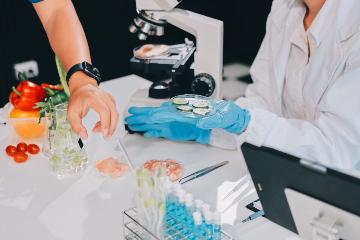 The 6 Health Hazards of Genetically Modified Foods 1 Chemical Laboratory of the Food supply . Food in laboratory