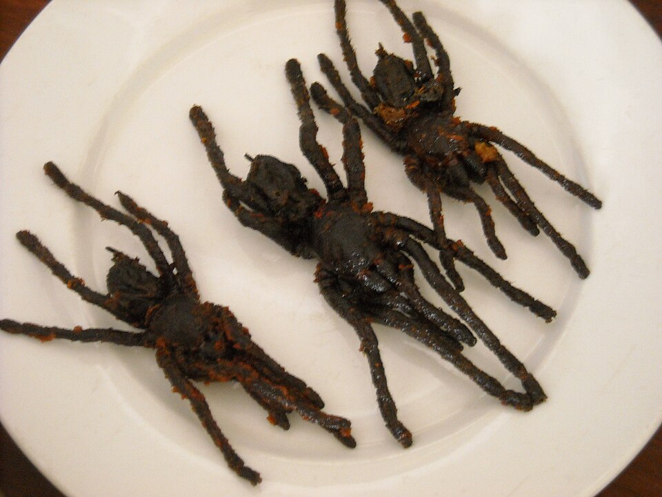 10 Shocking and Unbelievable Foods from Around the World 2 960px Fried Tarantula 5571271280