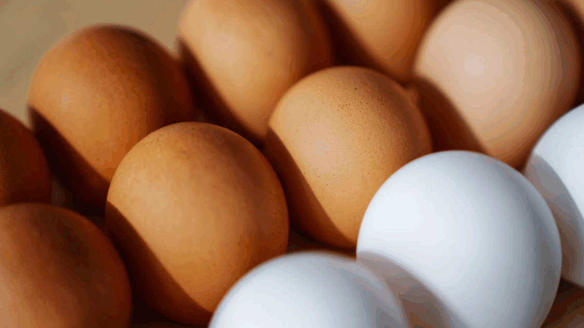12 Foods You Should Never Eat After the Expiration Date 5 Eggs
