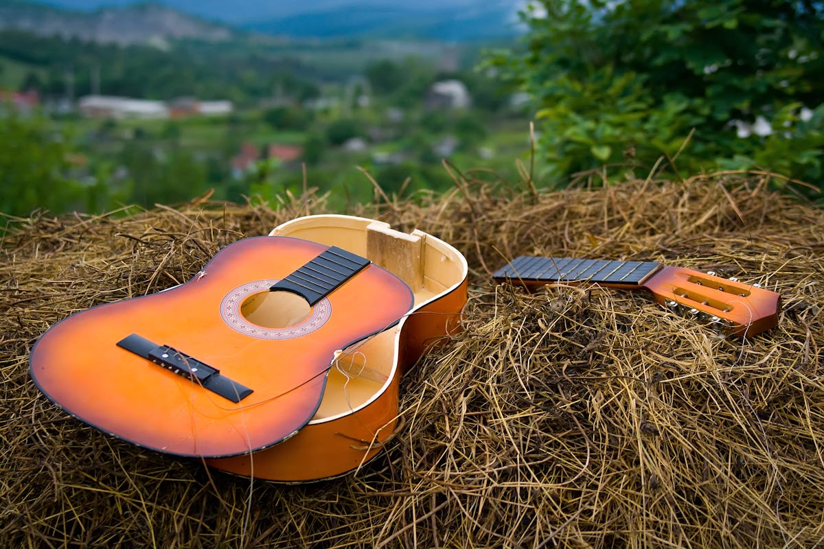 9 Items You Should Never Sell at a Garage Sale 3 A broken acoustic guitar lies on straw with a scenic outdoor backdrop.