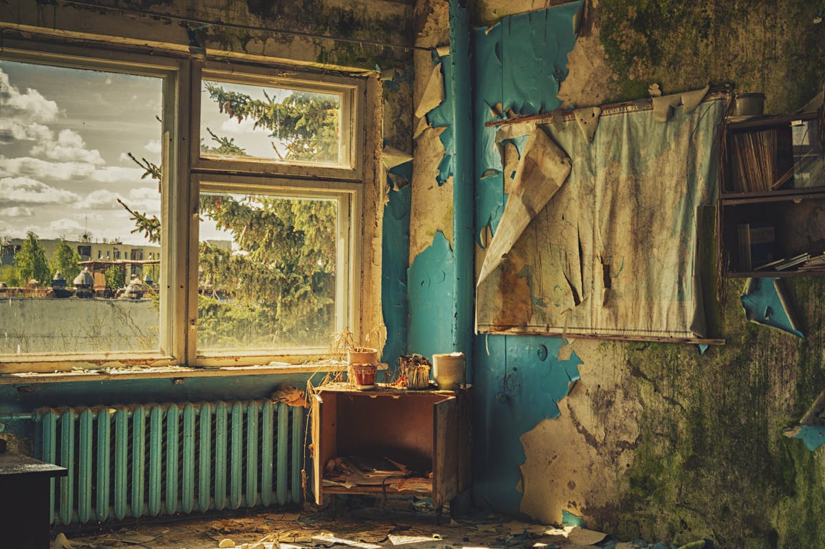 11 Things You Shouldn’t Overlook Before Purchasing a House 1 A decayed indoor space with peeling paint, overlooking an outdoor scene with trees.