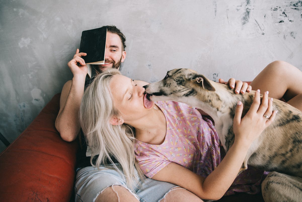 10 Annoying Pet Owner Habits 1 A happy couple enjoys bonding with their dog on a couch, showcasing relaxation and joy.