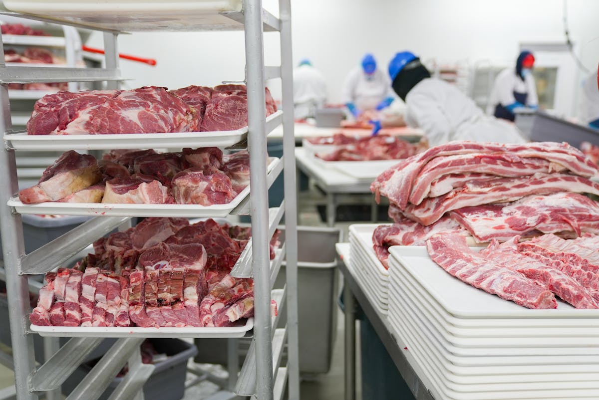 10 Things That Can Now Be Grown in Labs 1 A meat processing facility with workers handling meat cuts on trays, demonstrating industrial food production.