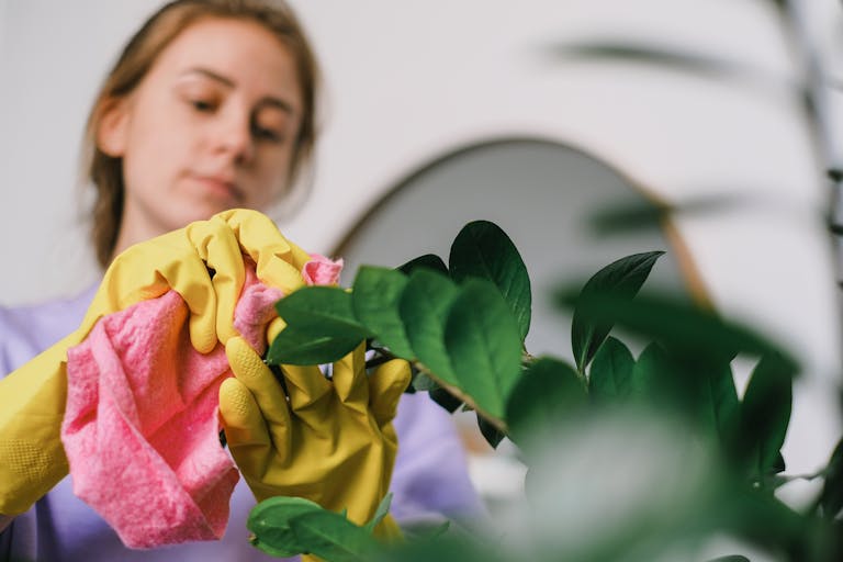 7 Worst U.S. States to Start a Cleaning Service Business, Based on Cost and Labor Data