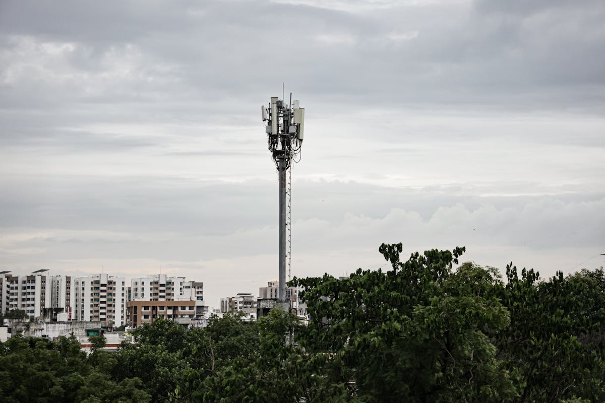 10 Bizarre Things People Blamed for Natural Disasters 4 Cell tower rising above trees with urban high-rise buildings under a cloudy sky.
